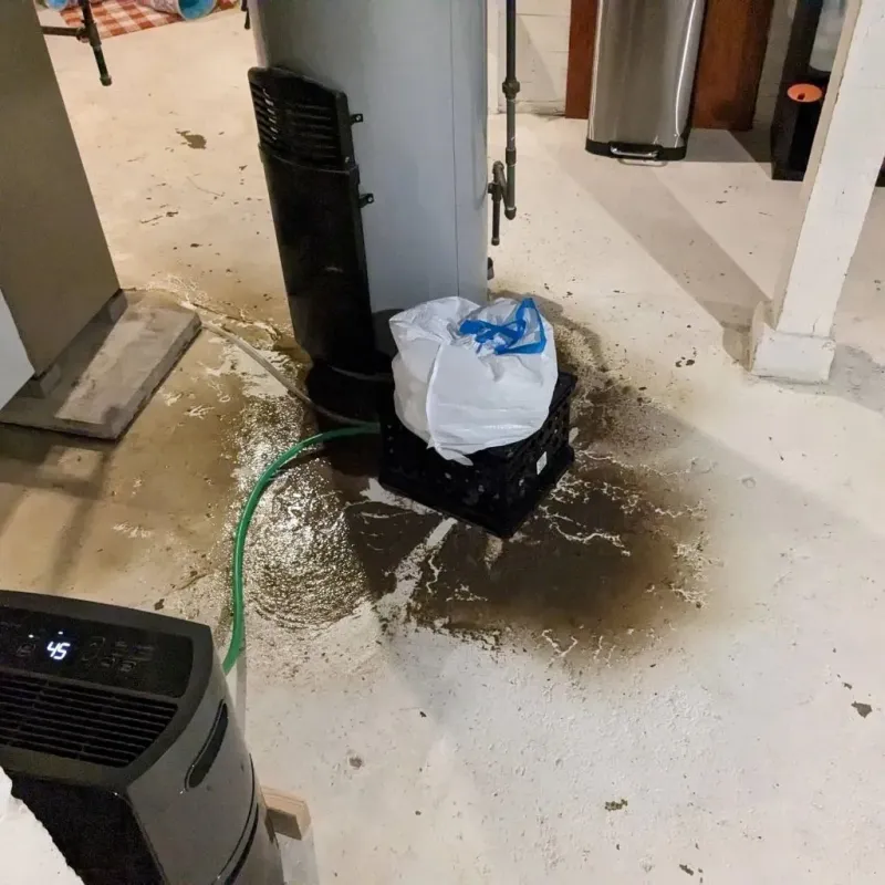 Sewage Backup Cleanup Service in Tuscumbia, MO